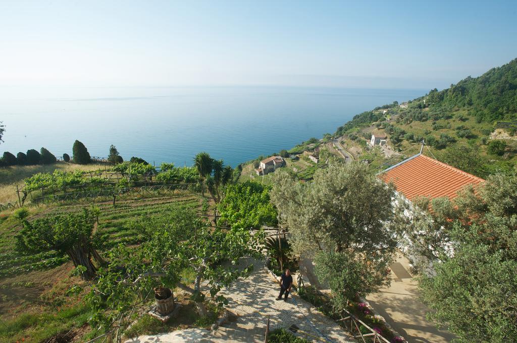 Sopra Il Limoneto Βίλα Cetara Εξωτερικό φωτογραφία
