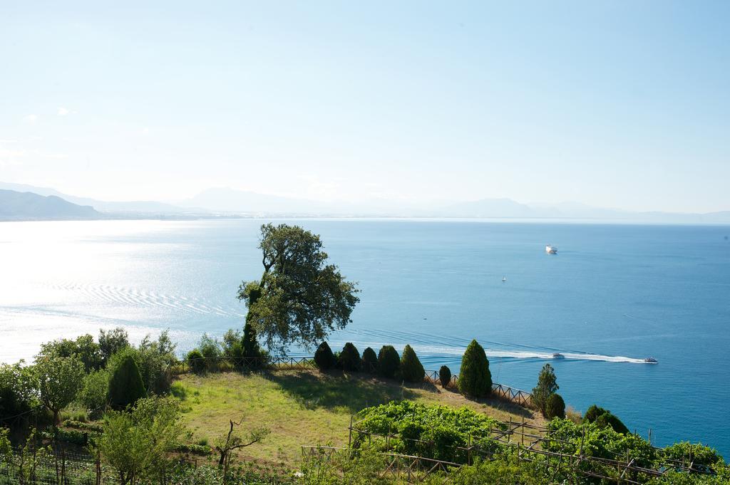 Sopra Il Limoneto Βίλα Cetara Εξωτερικό φωτογραφία