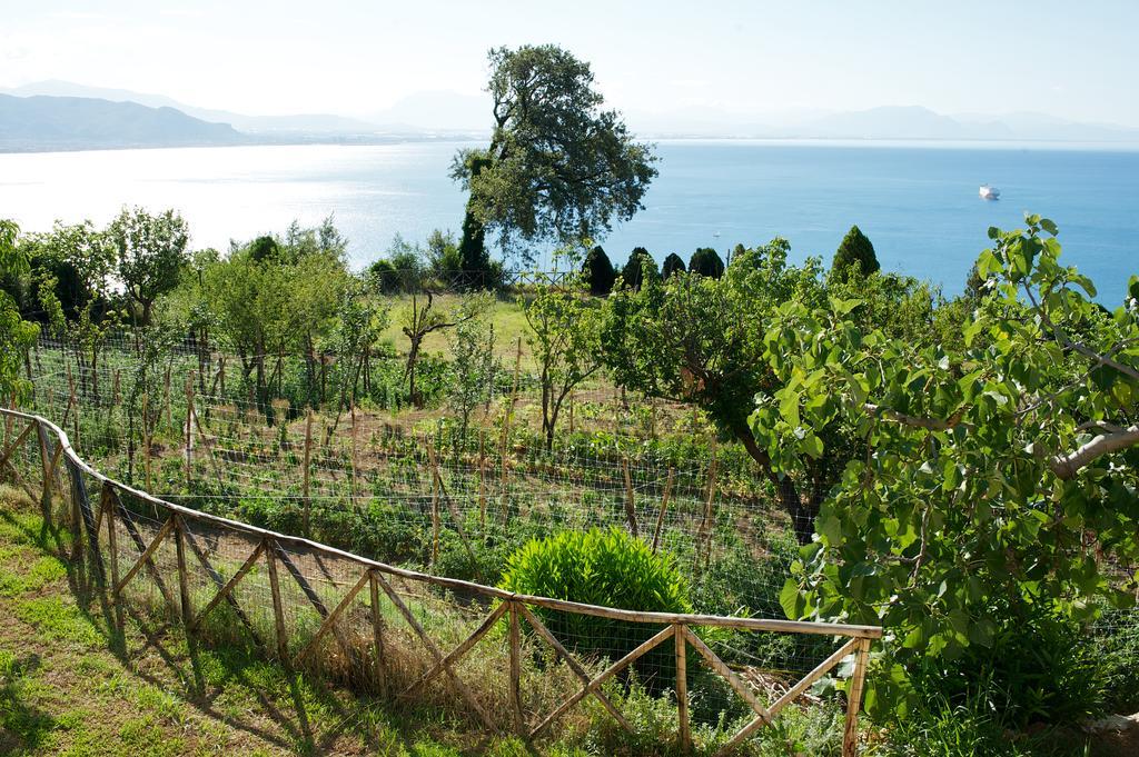 Sopra Il Limoneto Βίλα Cetara Εξωτερικό φωτογραφία